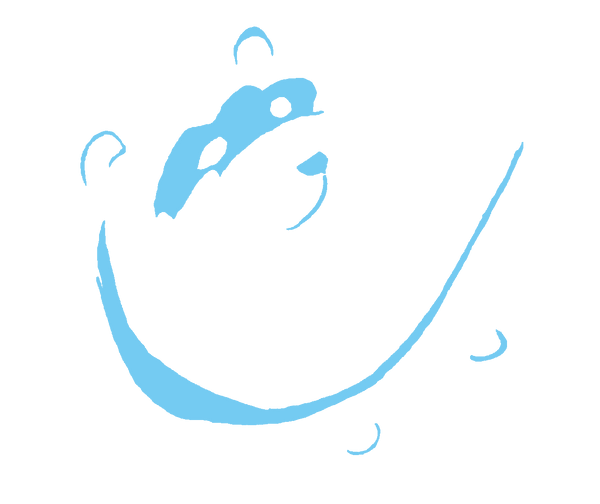 https://blueferretboarding.co.uk